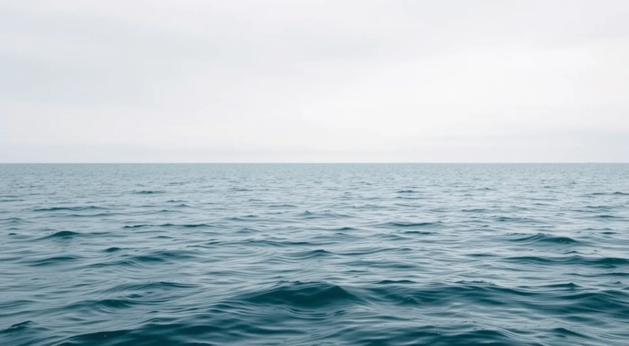 雨の日の海